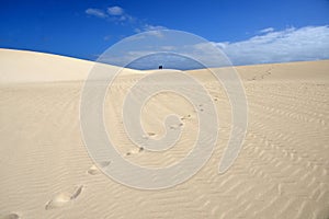 Fuerteventura dunas photo