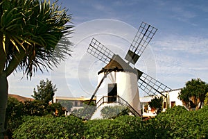 Fuerteventura Windmill