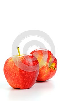 Fuji Apples photo