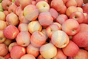 Fuji apples photo