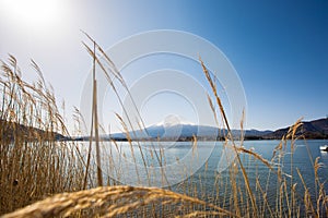 FUJI at kawaguchiko lake