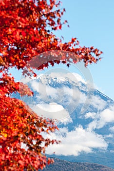 Fuji Mountain Autumn season, Japan.