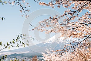 Fuji Mountain with cherry blossoms from Arakurayama Sengen Park in Yamanashi, Japan