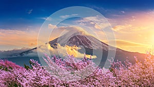 Fuji mountain and cherry blossoms in spring, Japan photo