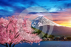 Fuji mountain and cherry blossoms in spring, Japan. photo