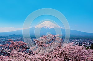 Fuji mountain landsapce. Travel and sightseeing in Japan on holiday. Sakura flower