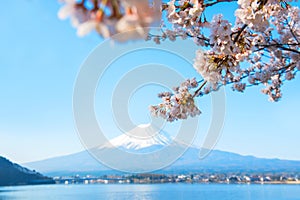 Fuji mountain landscape. Travel in Japan on holiday. Sakura flower in spring and summer