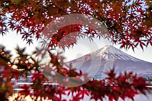 Fuji Mountain and Red Maple Leaves Frame in Autumn, Kawaguchiko Lake, Japan