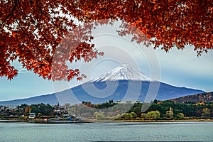 Fuji Mountain with red maple reaf