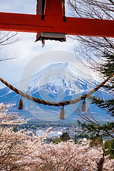 Fuji Mountain from stair way at Chureito Red Pagoda Fujiyoshida,shimenawa enclosing rope leaning of cityscape view with pink full