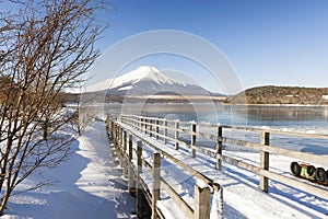 Fuji Mountain and Wooden Pier covered with Snow in Winter at Lake Yamanaka, Japan