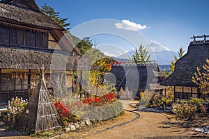 Fuji Village photo