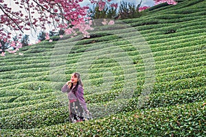 Fujian tea garden in spring