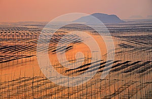 Fujian Xiapu Beach Sunrise,China