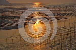 Fujian Xiapu Beach Sunrise,China