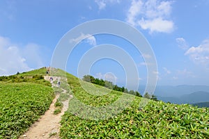 Fujimidai Highland in Nagano/Gifu, Japan