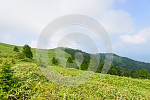 Fujimidai Highland in Nagano/Gifu, Japan