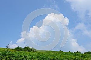 Fujimidai Highland in Nagano/Gifu, Japan