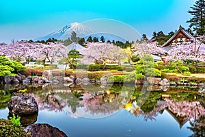 Fujinomiya, Shizuoka, Japan with Mt. Fuji and temples in spring