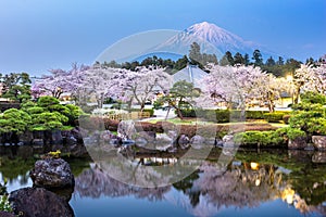 Fujinomiya, Shizuoka, Japan with Mt. Fuji and temples in spring season photo