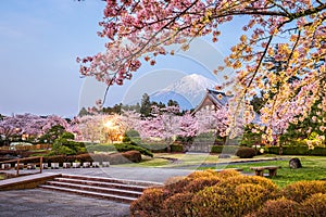 Fujinomiya, Shizuoka, Japan with Mt. Fuji photo