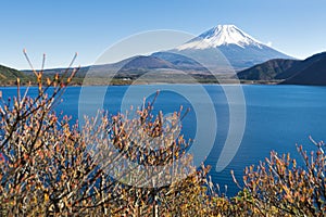 Fujisan at Lake Motosu