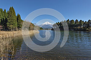 Fujisan at Lake Tanuki