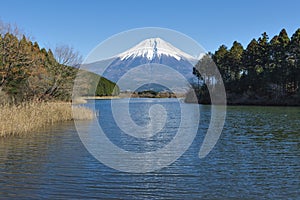 Fujisan at Lake Tanuki