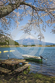 Fujisan and Sakura at Lake Tanuki