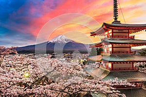 Fujiyoshida, Japan at Chureito Pagoda and Mt. Fuji in the spring photo