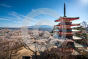 Fujiyoshida, Japan at Chureito Pagoda and Mt. Fuji in the spring with cherry blossoms full bloom during sunrise. Japan Landscape