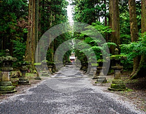 Fujiyoshida Sengen Shrine, a long approach lined by stone lanterns and tall cedar trees, Japan - Sep 2018