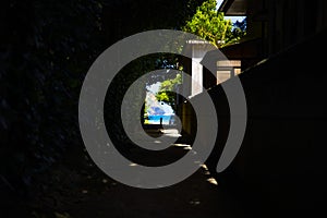 Fukugi namiki tunnel street behind the blue ocean in Amami oshima Kagoshima