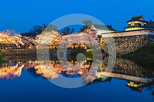 Fukuoka castle with cherry blossom in Fukuoka, Kyushu, Japan