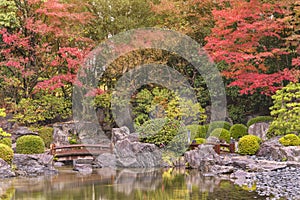 Bridges crossing the Japanese Ohori Garden among a pond reflecting maples in autumn.