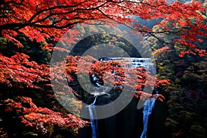 Famous Fukuroda waterfalls during autumn season