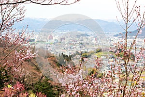 Fukushima City,Mt.Azuma,multicolor flowering trees as seen from Hanamiyama Park,Fukushima,Tohoku,Japan.