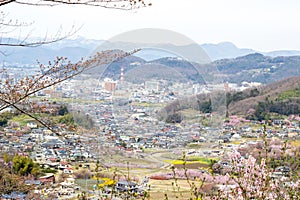 Fukushima City,Mt.Azuma,multicolor flowering trees as seen from Hanamiyama Park,Fukushima,Tohoku,Japan.