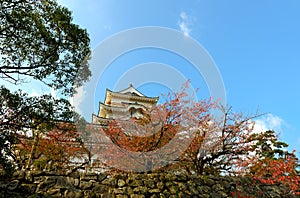 Fukuyama Castle (East Side)