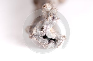 fulgurite, lightning stone