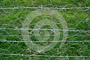 Full Barbed wire fence