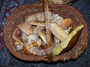 Full basket of mushrooms mushrooming picking home