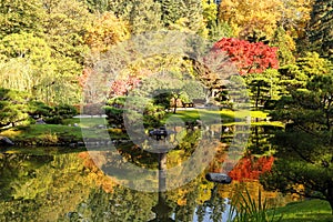 full of beautiful fall colors at Japanese Garden, Seattle Washington