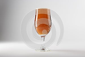 A full beer glass containing golden ale set against a clean background
