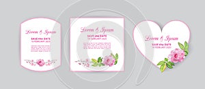 Full bloom pink rose flower isolated on white background wedding card template, Cherry blossom floral vintage invitation frame.