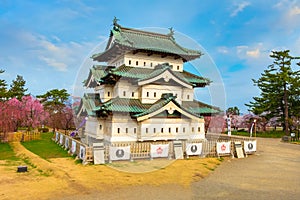 Full bloom Sakura - Cherry Blossom at Hirosaki castle