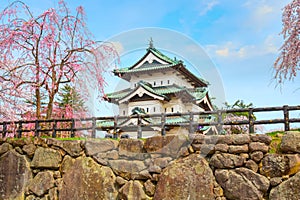 Full bloom Sakura - Cherry Blossom at Hirosaki castle