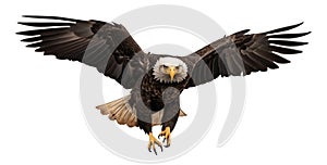 Full Body American Bald Eagle In Flight Isolated on a White Background - Generative AI Transparent PNG