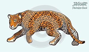 Full Body Jaguar Lurking Illustration