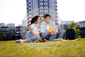 Full body portrait of positive friendly groupmates sitting blanket read book prepare exam test sunny day park outside